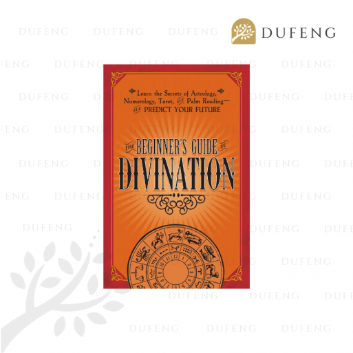 The Beginner's Guide to Divination Ebook