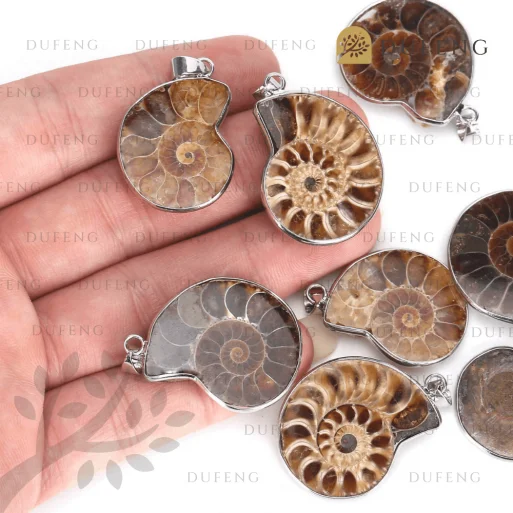 Liontin fosil ammonite 4