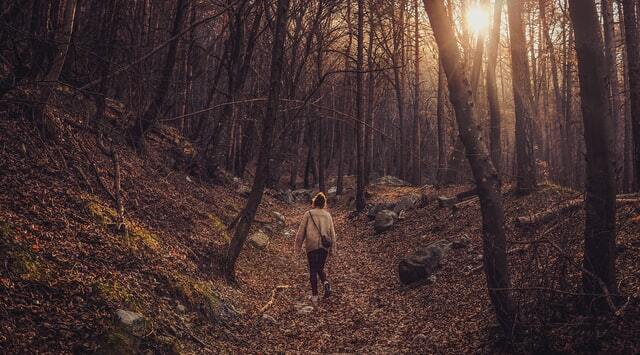 mindful walking sebagai pengganti aktivitas olahraga