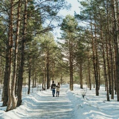 Digital detox dengan berjalan-jalan di hutan