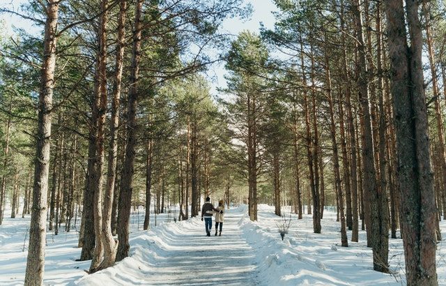 Digital detox dengan berjalan-jalan di hutan