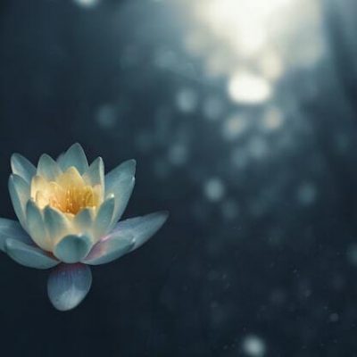 mindfulness quotes