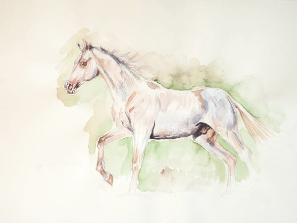 lukisan kuda fengshui