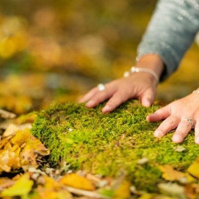 grounding energi