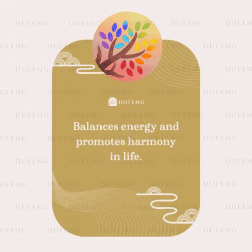 Dufeng – Lucky Symbol Acrylic Keychain