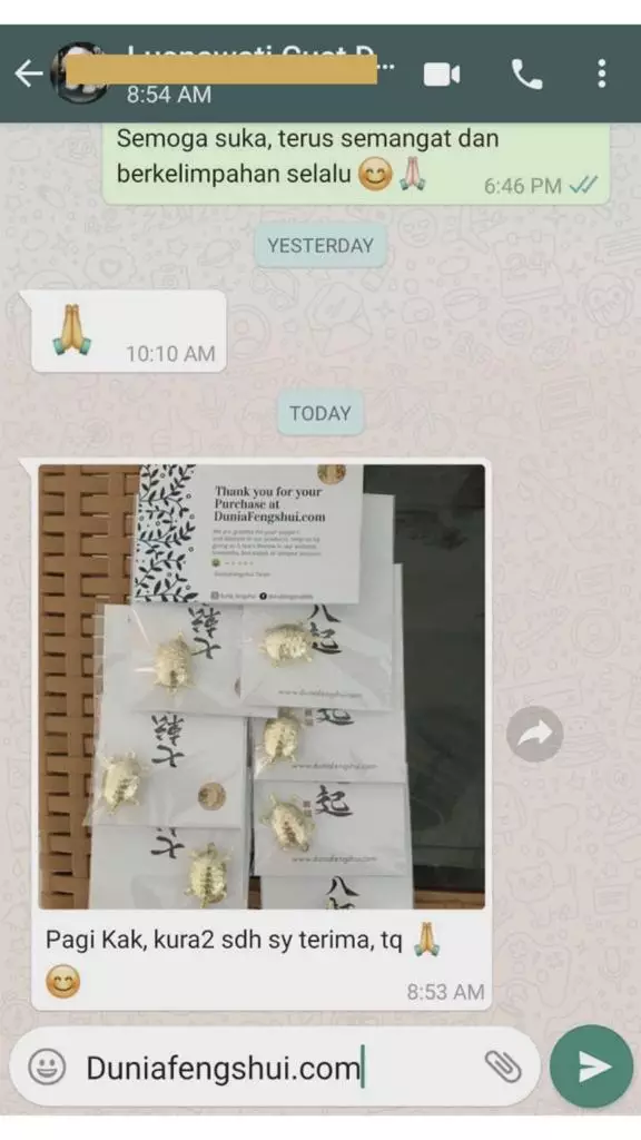 testimonial kura kura 2