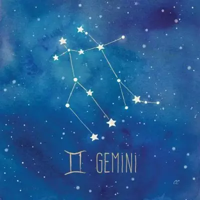Gemini Sign
