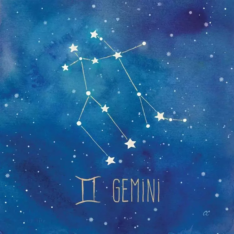 Gemini Sign