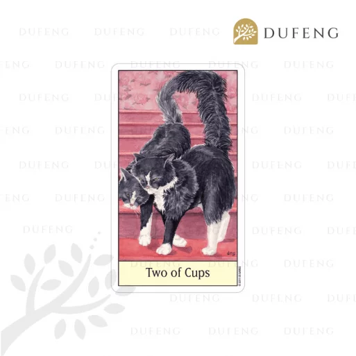 Cat’s Eye Tarot Deck