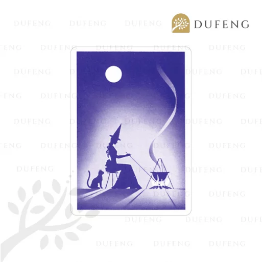 Gypsy Witch Fortune Telling Playing