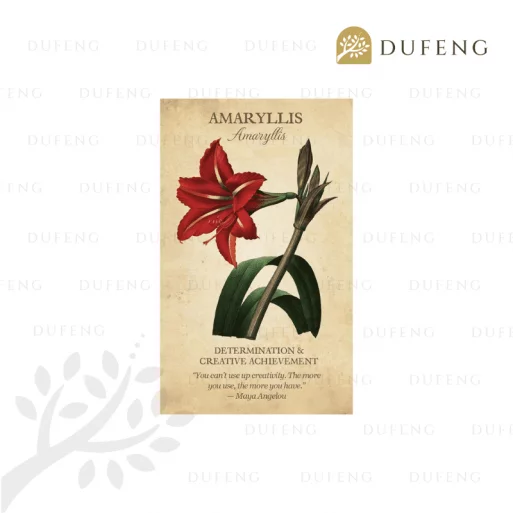 Botanical Inspirations Deck & Book Set