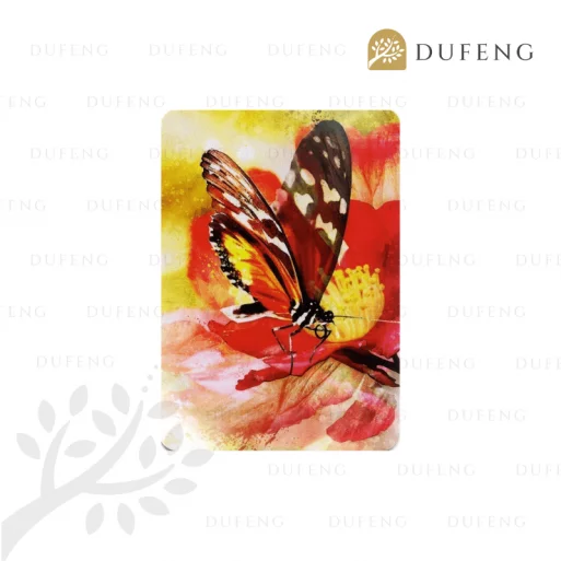 Butterfly Affirmations