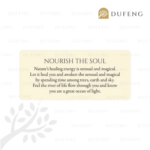 Eternal Light: 55 Guidance Cards For All That You Are