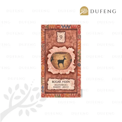 Shaman Wisdom Cards