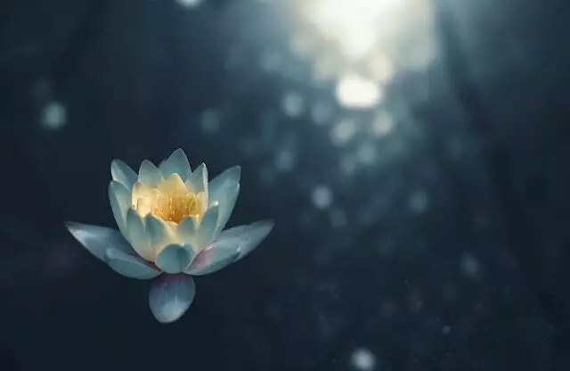 mindfulness quotes