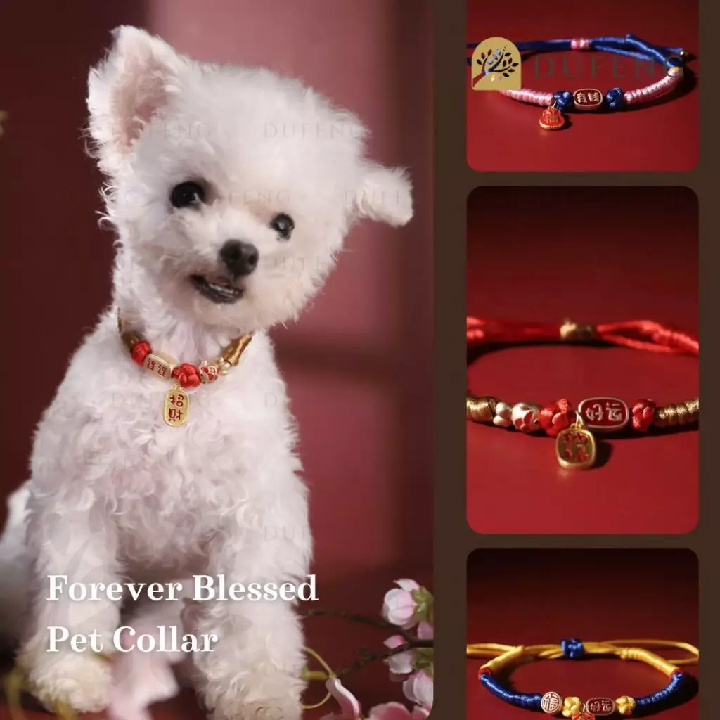 kalung anjing