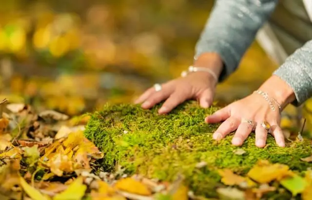 grounding energi