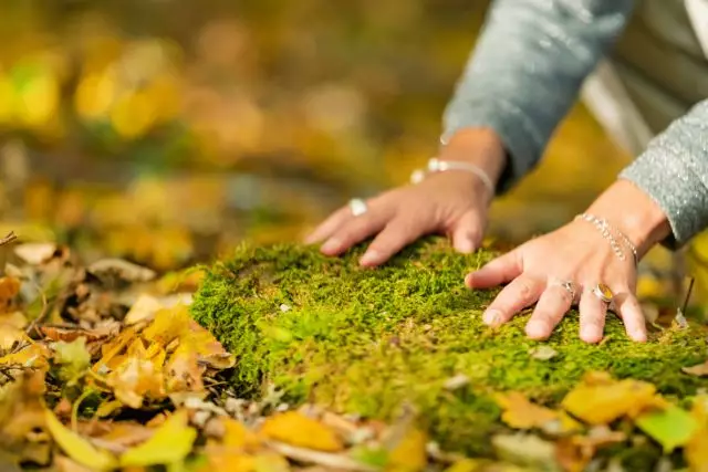 grounding energi